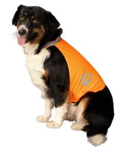 Dog Safety Vest