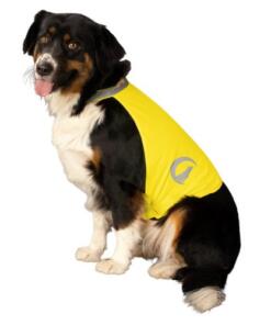 Dog Safety Vest