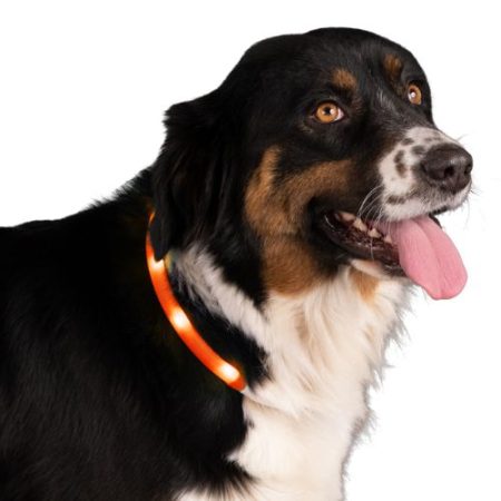 Lichtgevende halsband, oplaadbaar