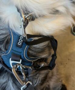 Verbindingsstuk Tuig - Halsband 7 Verbindingsstuk Tuig - Halsband