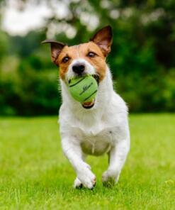 Starlight Tennisbal 3st 15 Starlight Tennisbal groen