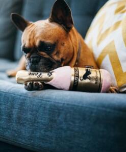 Barking Bubbly Muttscato 14 Barking Bubbly Muttscato