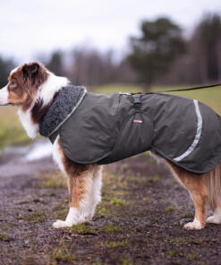 PerusPomppa met Tuigopening 16 PerusPomppa met tuigopening - Pomppa - Hondenjas met tuig - Graphite