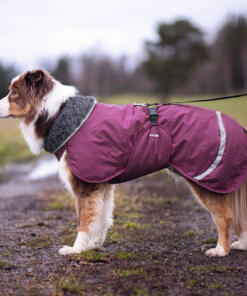PerusPomppa met Tuigopening 17 PerusPomppa met tuigopening - Pomppa - Hondenjas met tuig - Plum