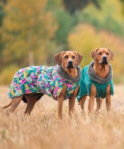 PerusPomppa met Tuigopening 12 PerusPomppa met tuigopening - Pomppa - Hondenjas met tuig - Trail en Forest