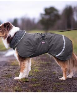 ToppaPomppa met tuigopening winterjas - Graphite