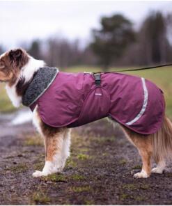 ToppaPomppa met Tuigopening 10 ToppaPomppa met tuigopening winterjas - Plum