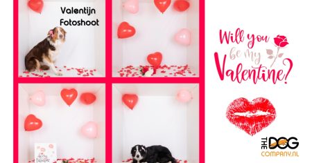 Valentijn fotoshoot