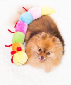 Caterpillar 9 Caterpillar