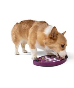 Feast Mat - Slow feeder en lickmat in 1 51 Feast Mat