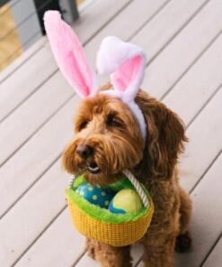 Hippity Hoppity Eggs-cellent Basket