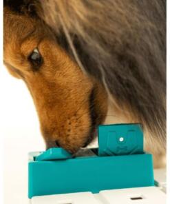 Nai - Pawzler 11 Nai - Pawzler