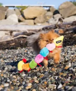 Caterpillar 11 Caterpillar - ZippyPaws