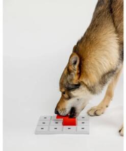 Peach - Pawzler 19 Peach - Pawzler