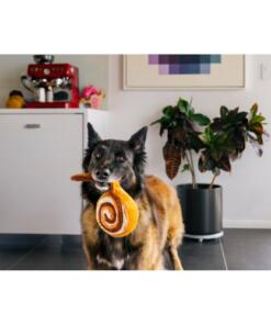 Pup Cup Cafe Cinna-bone