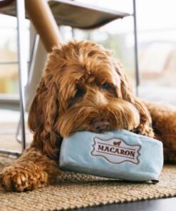 Pup Cup Cafe Mutt-a-rons 14 Pup Cup Cafe Mutt-a-rons