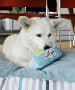 Pup Cup Cafe Mutt-a-rons 15 Pup Cup Cafe Mutt-a-rons