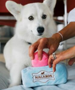 Pup Cup Cafe Mutt-a-rons 16 Pup Cup Cafe Mutt-a-rons