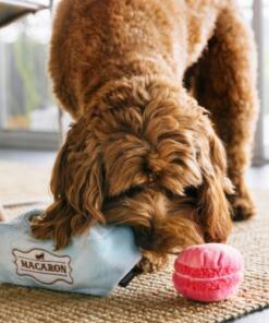 Pup Cup Cafe Mutt-a-rons 17 Pup Cup Cafe Mutt-a-rons