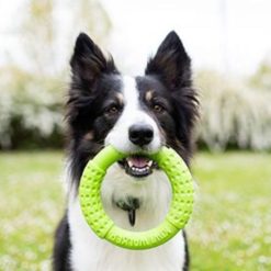 Ring Kiwi Walker Hondenspeelgoed ronde ring 6