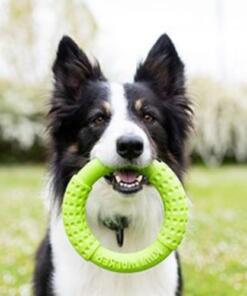 Ring - Kiwi Walker 14 Ring Kiwi Walker Hondenspeelgoed ronde ring 6