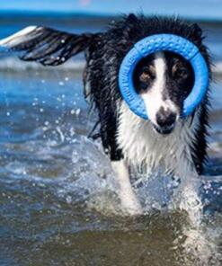 Ring - Kiwi Walker 15 Ring Kiwi Walker Hondenspeelgoed ronde ring 7