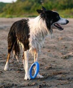 Ring - Kiwi Walker 16 Ring Kiwi Walker Hondenspeelgoed ronde ring 8