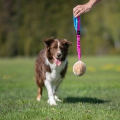 BungeeChewie Ball