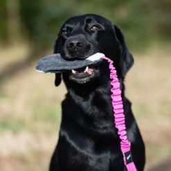 BungeeCutie Tug Toy