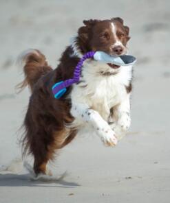 BungeeCutie Tug Toy 18 BungeeCutie Tug Toy