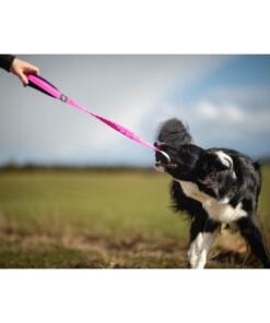 BungeeCutie Tug Toy 19 BungeeCutie Tug Toy