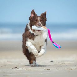 BungeeCutie Tug Toy