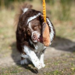 BungeeCutie Tug Toy