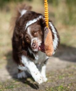 BungeeCutie Tug Toy 17 BungeeCutie Tug Toy