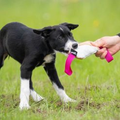 Cutie Tug Toy