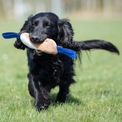 Cutie Tug Toy