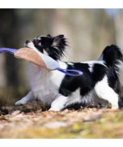 Cutie Tug Toy 14 Cutie Tug Toy