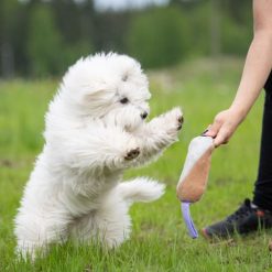 Cutie Tug Toy