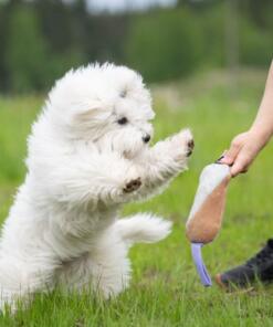 Cutie Tug Toy 15 Cutie Tug Toy