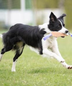 Cutie Tug Toy 16 Cutie Tug Toy