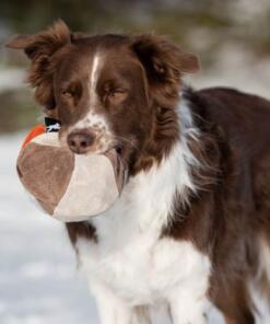 Hefty Ball 24 Hefty Ball