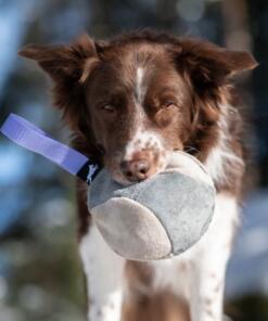 Hefty Ball 28 Hefty Ball