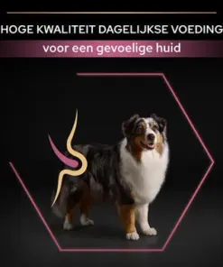 Pro Plan Medium& Large adult 7+ Sensitive Skin