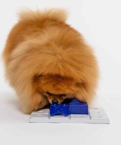 Sela - Pawzler 9 Sela