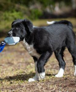 TeenyTiny Ball 10 TeenyTiny Ball