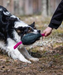 Toughie Tug Toy 26 Toughie Tug Toy