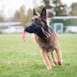 Toughie Tug Toy