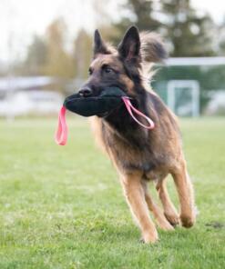 Toughie Tug Toy 27 Toughie Tug Toy