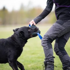 Toughie Tug Toy