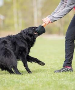 Toughie Tug Toy 29 Toughie Tug Toy